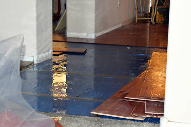 Professional Flood Damage Repair technician working in Ringwood, IL
